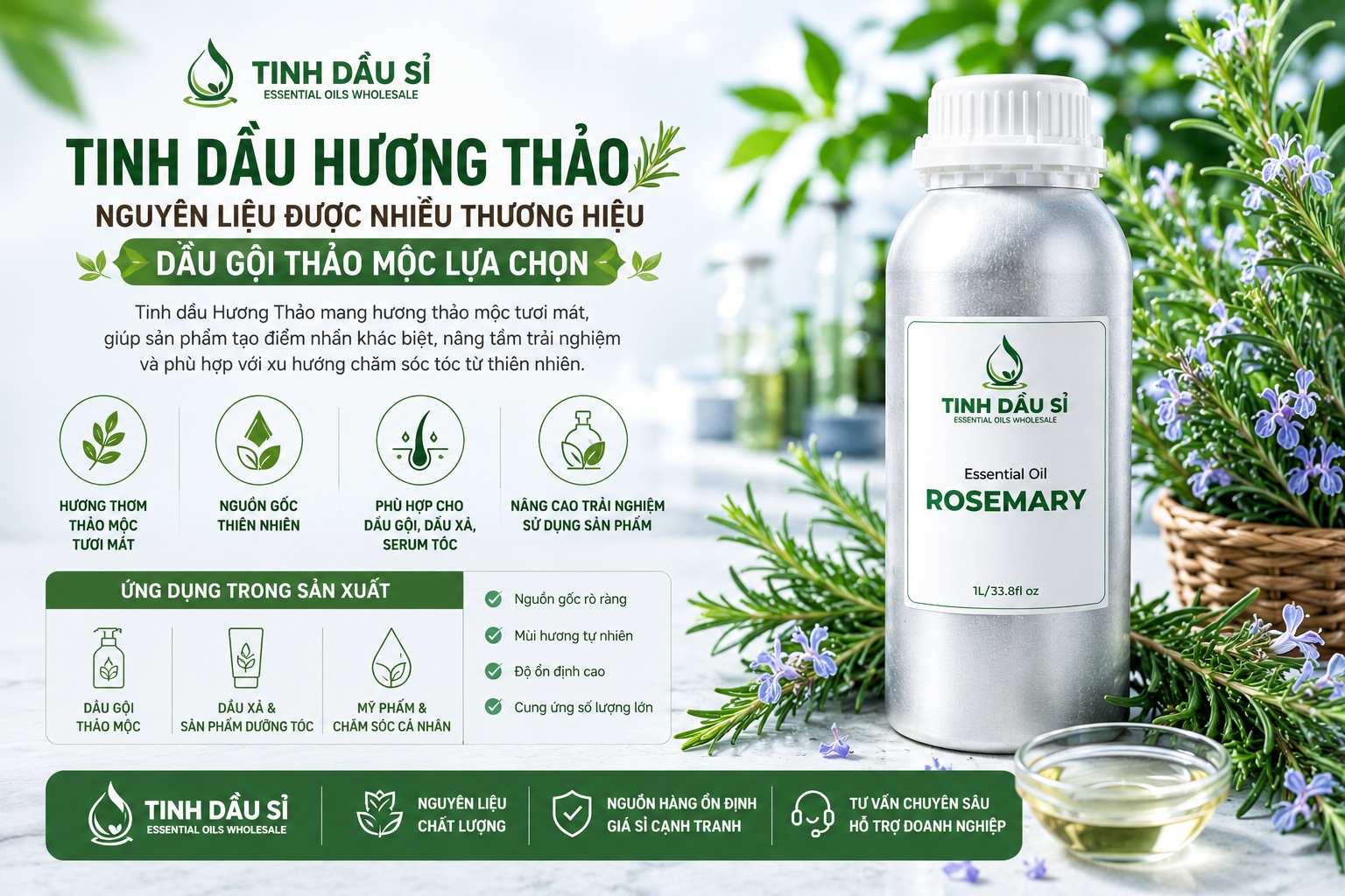 Tinh dầu Hương Thảo - nguyên liệu được nhiều thương hiệu dầu gội thảo mộc lựa chọn